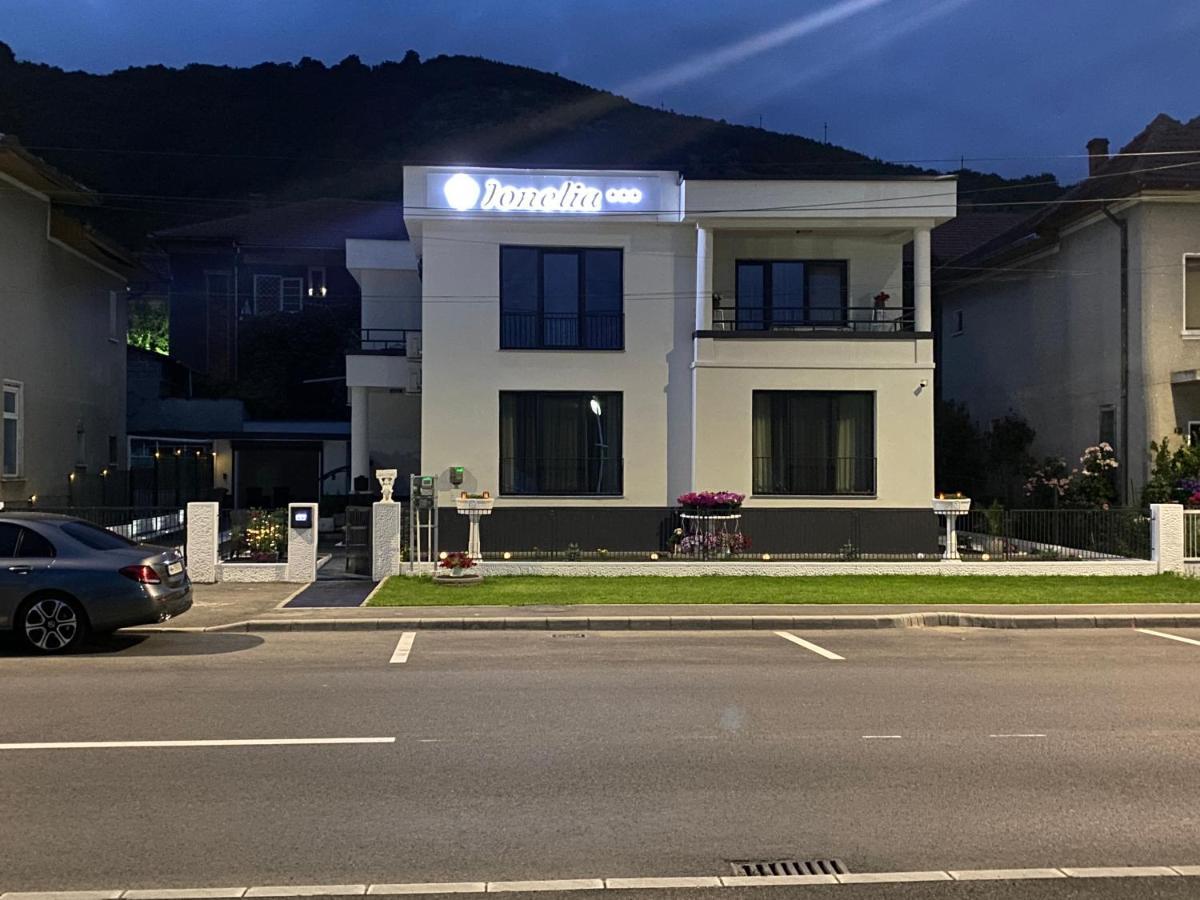Pensiunea Ionelia Orşova Esterno foto